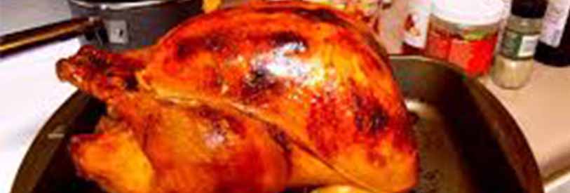 جوجه بوقلمون