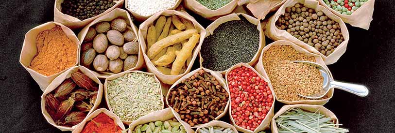  طب سنتی از اهمیت زیادی برخوردار است.