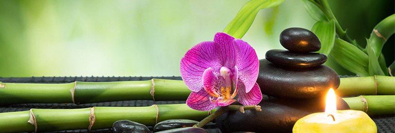 آموزش ماساژ عمومی