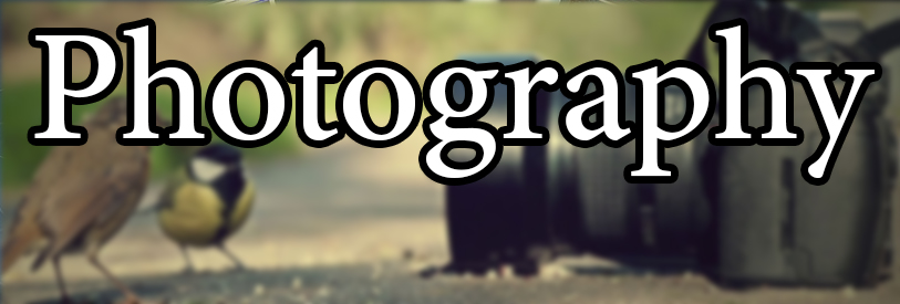 در کنار عکاسی نرم افزار فتوشاپ استفاده می شود