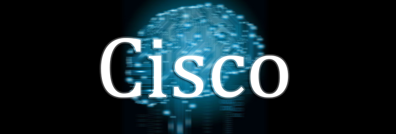 شرکت سیسکو به تولید انواع سوئیچ ها و روترها می پردازد