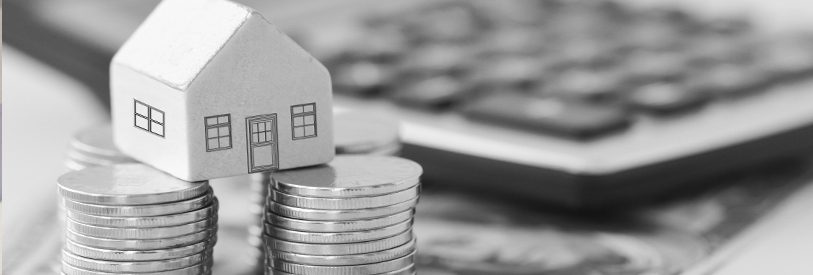 میتوان هر چیزی که ارزش مالی داشته باشد را جز سرمایه قرار داد. 