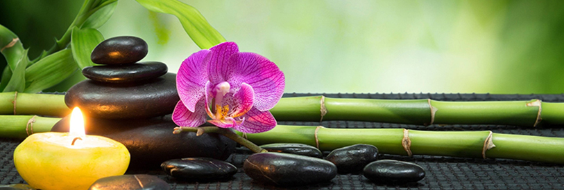 در انواع ماساژ، از انواع تکنیک ها استفاده میشود. 