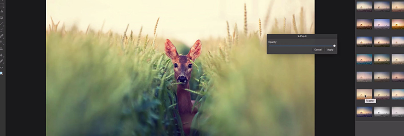 دوره فتوشاپ حرفه ای 