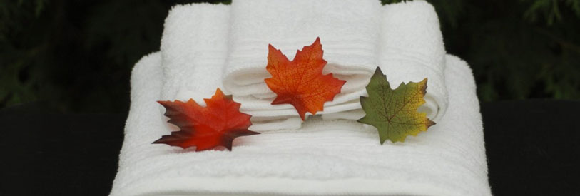 برگزاری دوره های آموزشی ماساژ با ارایه مدرک امکان پذیر است