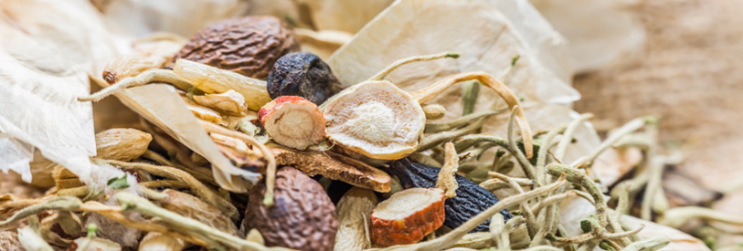 باید با توجه به نوع بیماری، از انواع گیاهان دارویی استفاده کرد. 