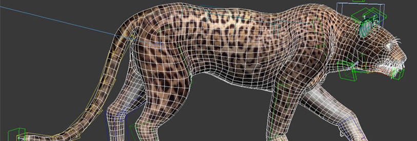 گواهینامه 3DMAX به منزله تبحر افراد در این زمینه است .