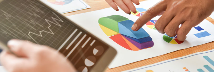 پریماورا نرم افزار مدیریت پروژه