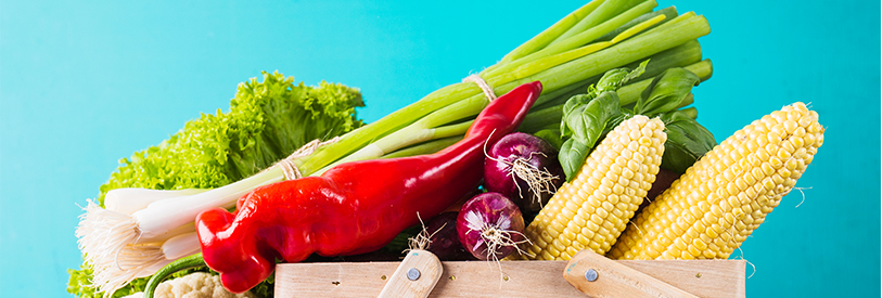 آشنایی با علم تغذیه می تواند برای کلیه افراد مفید باشد.