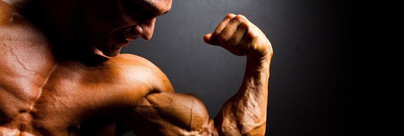 مربی بدنسازی یک حرفه به نسبت پول ساز است .