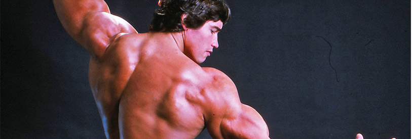 بدنسازی یکی از رشته های پر طرفدار ورزشی است .