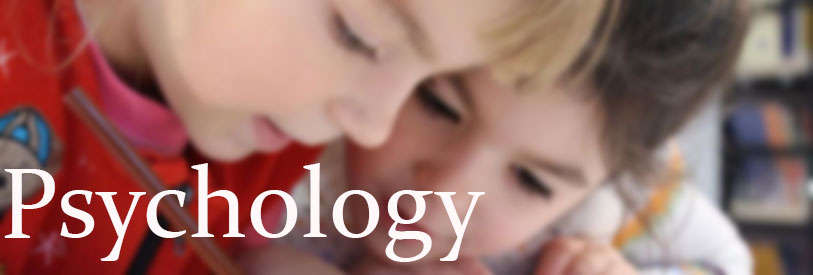 آموزش روانشناسی تربیتی یکی از  ارکان های مهم در تعلیم تربیت دارد