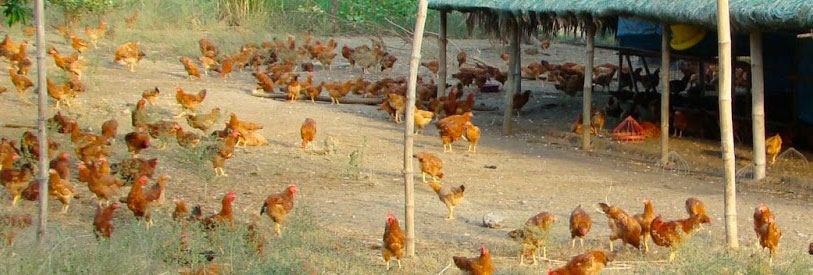 مدرک گواهینامه آموزش دوره