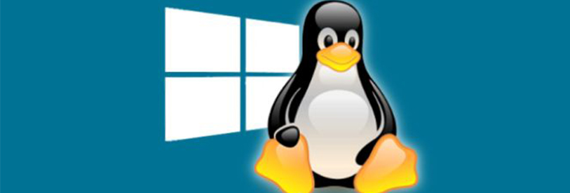 دوره لینوکس یکی از دوره های پر مخاطب است.