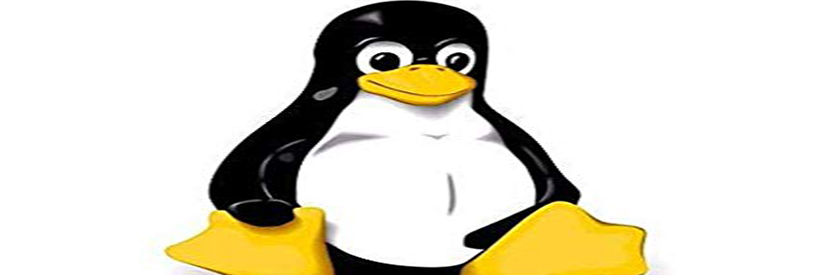 گواهینامه لینوکس به منزله تبحر در این حوزه می باشد.