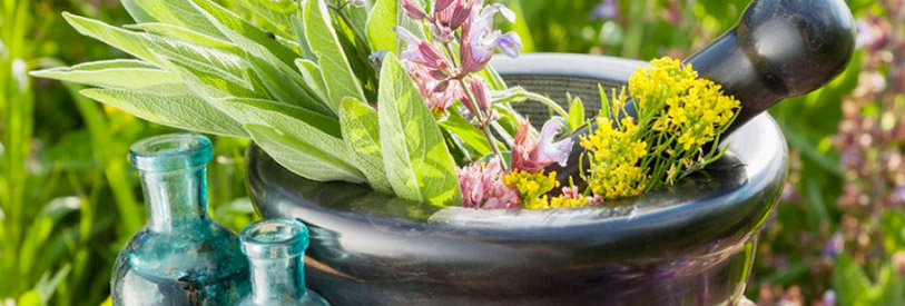 آشنایی با  خواص گیاهان دارویی برای همه مفید است.