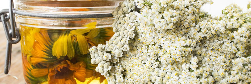 دوره آموزش گواهینامه مدرک