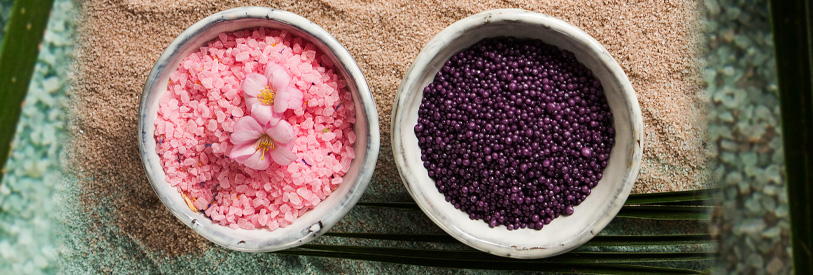 گیاهان دارویی پرورش گیاهان رشد گیاهان 