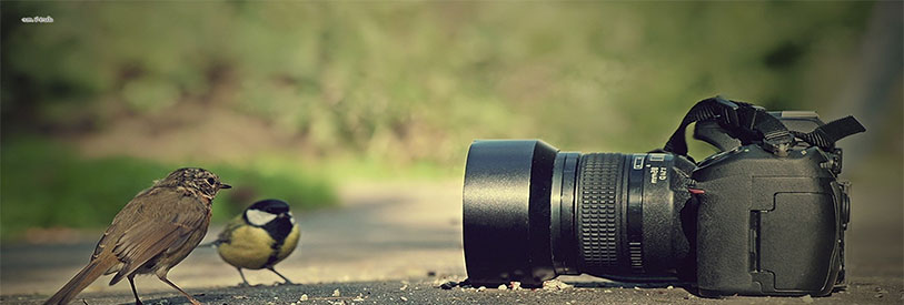 آموزش عکاسی می تواند زمینه ساز ورود افراد به بازار کار شود .