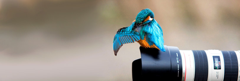 بهترین-دوربین-عکاسی