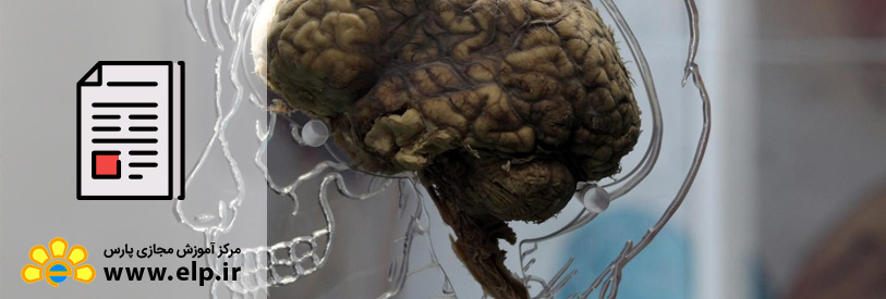 مقاله آشنایی با روانشناسی اعصاب و غدد