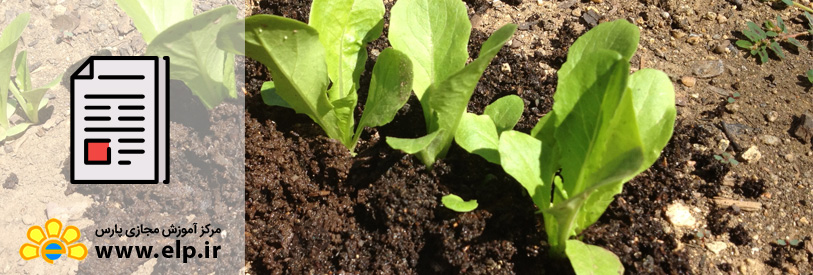 مقاله آشنایی با اصول ورمی کمپوست