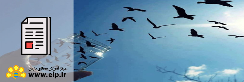 مقاله خلاقیت در عکاسی