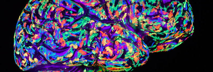 با استفاده از مدرک روانشناسی تربیتی می توانید به امور تربیتی در مدارس و خانواده بپردازید