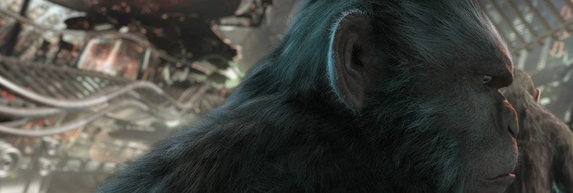  جلوه-های-ویژه-چیست