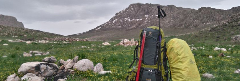 هیدروتوریسم