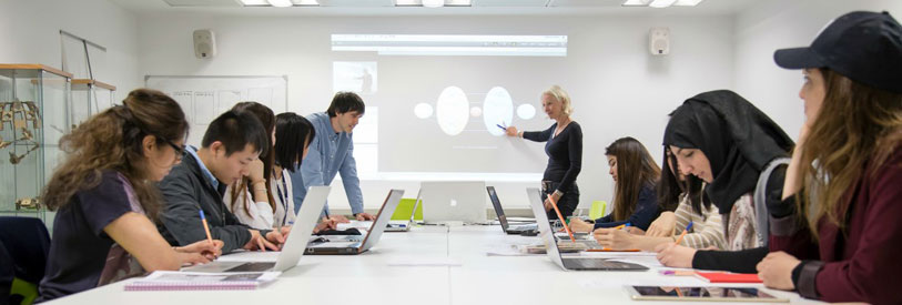 اصول-مدیریت-فرهنگی