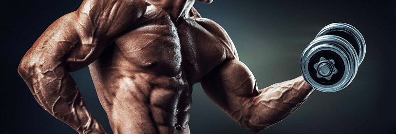 دوره-های-مربی-بدنسازی