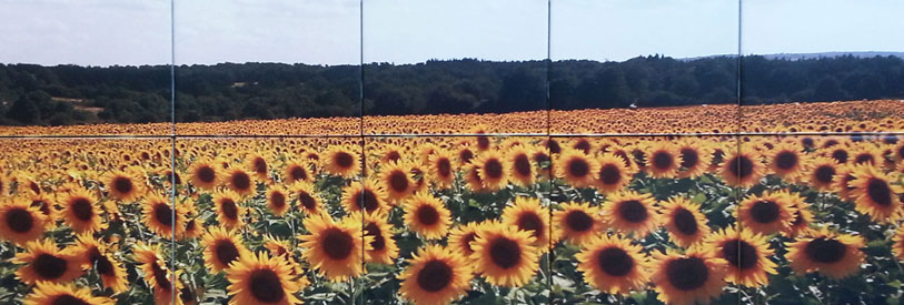 نقاشی-طرح-کاشی