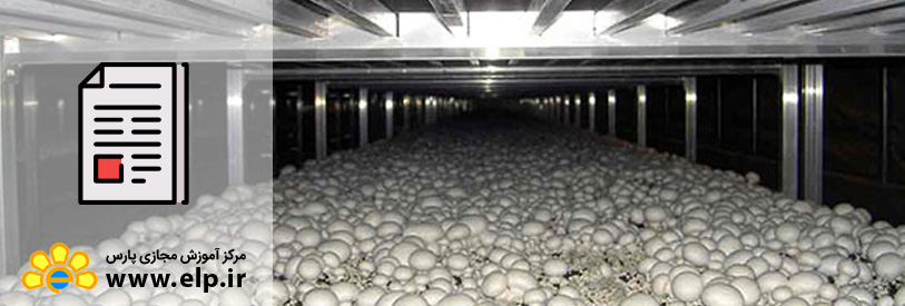 مقاله پرورش قارچ در منزل