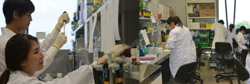 پژوهشگر-کیست-و-چیست 