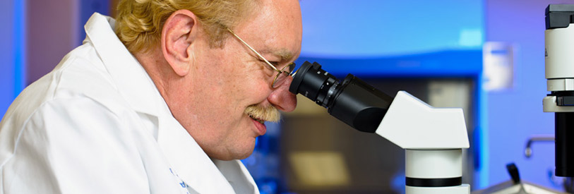  آخرین-مرحله-ی-یک-پژوهش-علمی-چیست