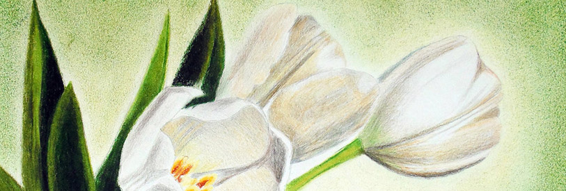 دوره-آموزشی-نقاشی-پاستل