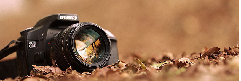 دوره عکاسی از زیر مجموعه های هنر است .