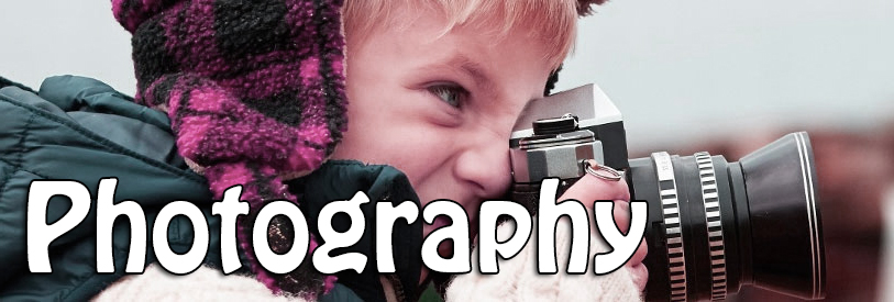 با گذراندن دوره آموزش عکاسی ، دانشپذیران با تکنیک های عکاسی آشنا می شوند