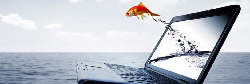 دوره-های-آموزشی-فتوشاپ