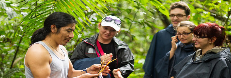 رشته-اکوتوریسم