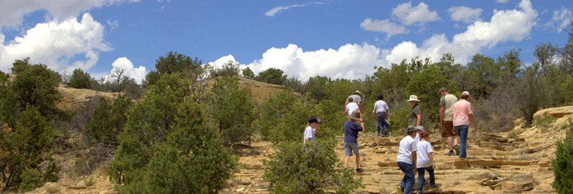 انواع-اکوتوریسم