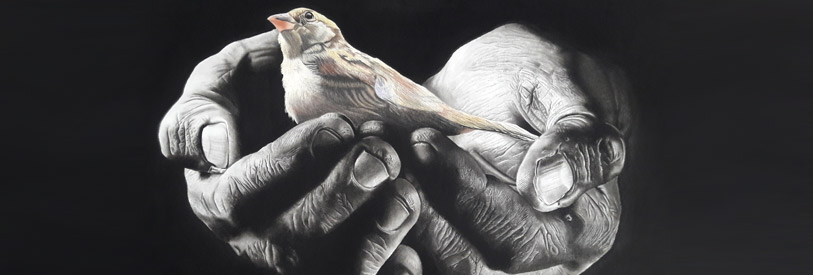  انواع-طراحی