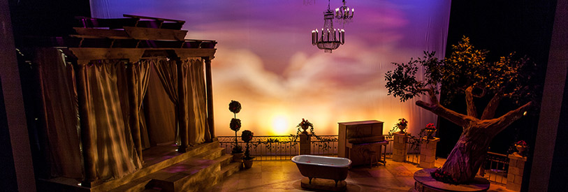 درآمد-طراحان-صحنه