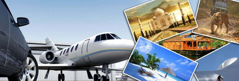 انواع-تورگردان-ها