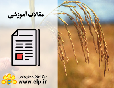 مقاله زراعت و اصلاح نباتات