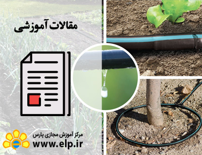 آبیاری قطره ای