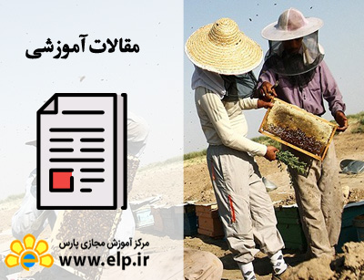 مقاله پرورش زنبور عسل