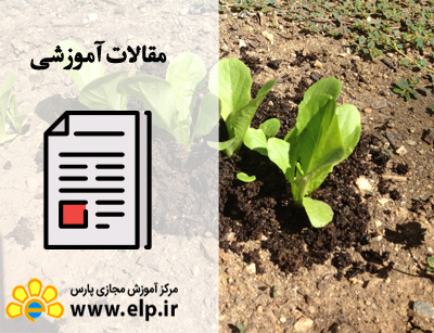 مقاله آشنایی با اصول ورمی کمپوست