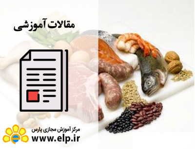 مقاله  پروتئین